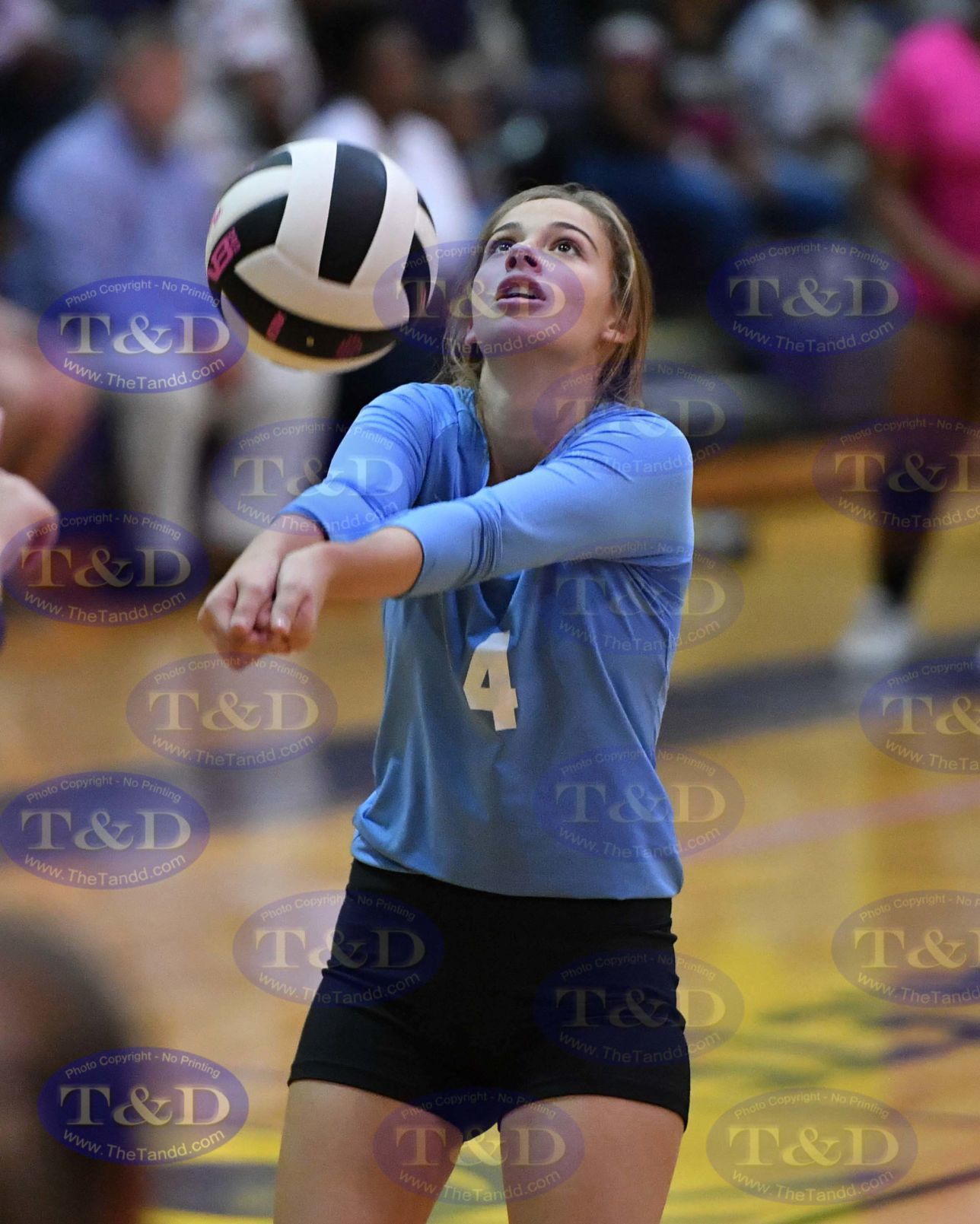 DSC_7211.jpg